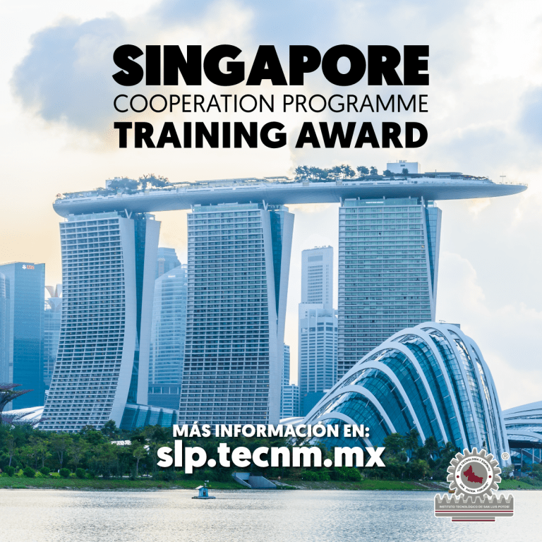 Dirección_FlyerSingapur_2025A